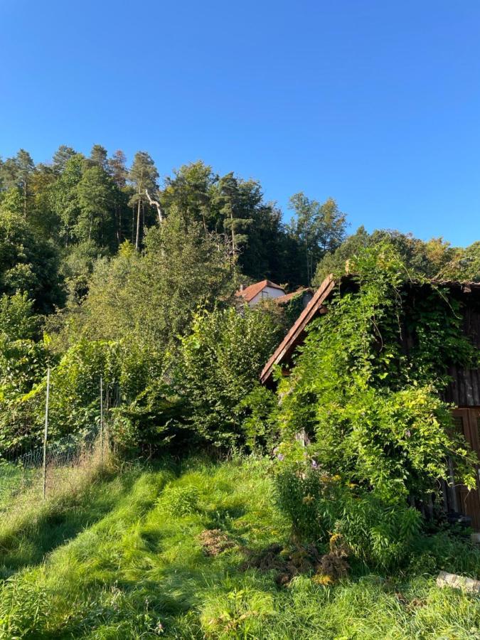 Mon Refuge En Vasgovie Apartment Meisenthal Exterior photo